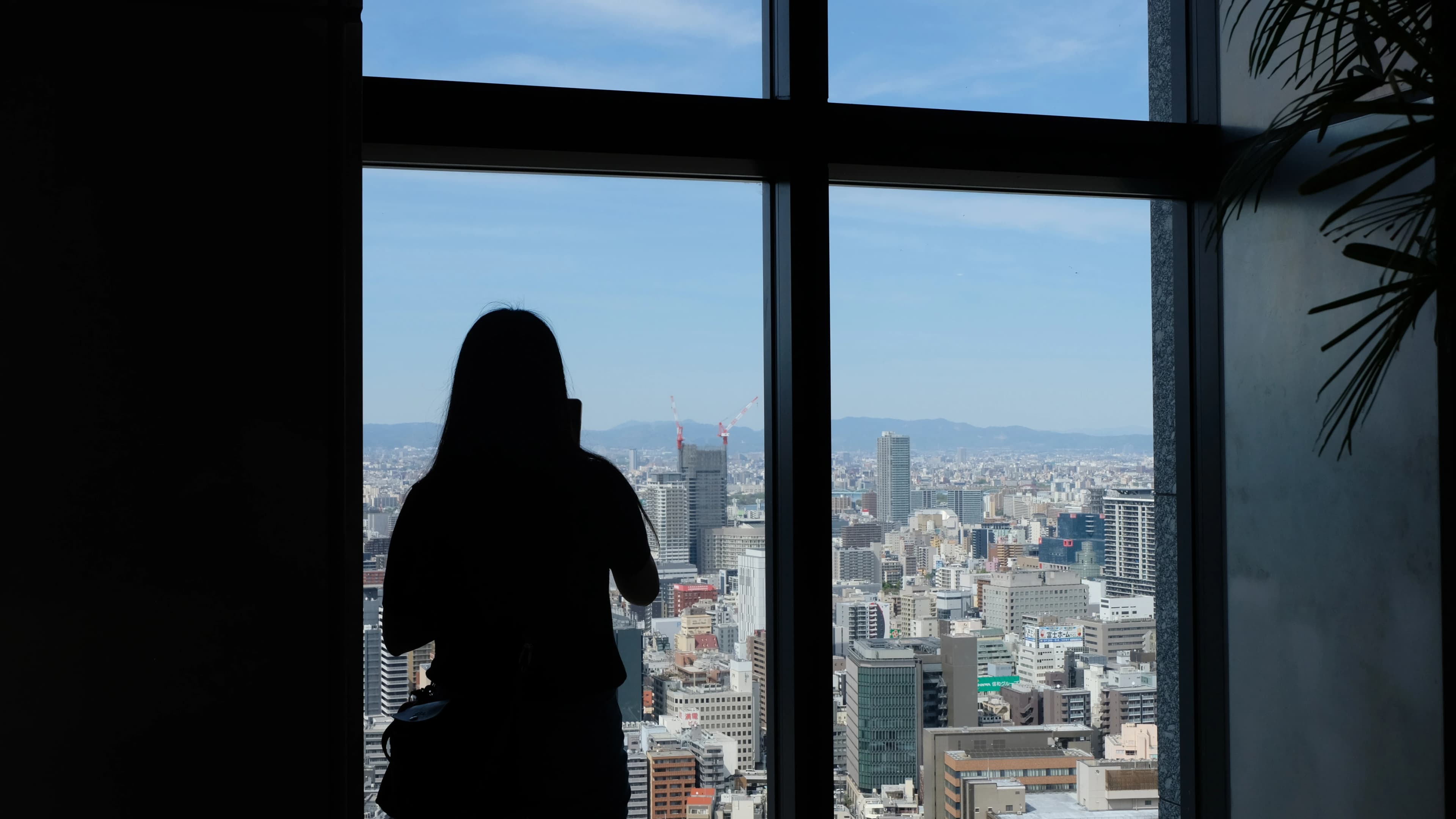 Thumbnail for Yodoyabashi Sky Terrace